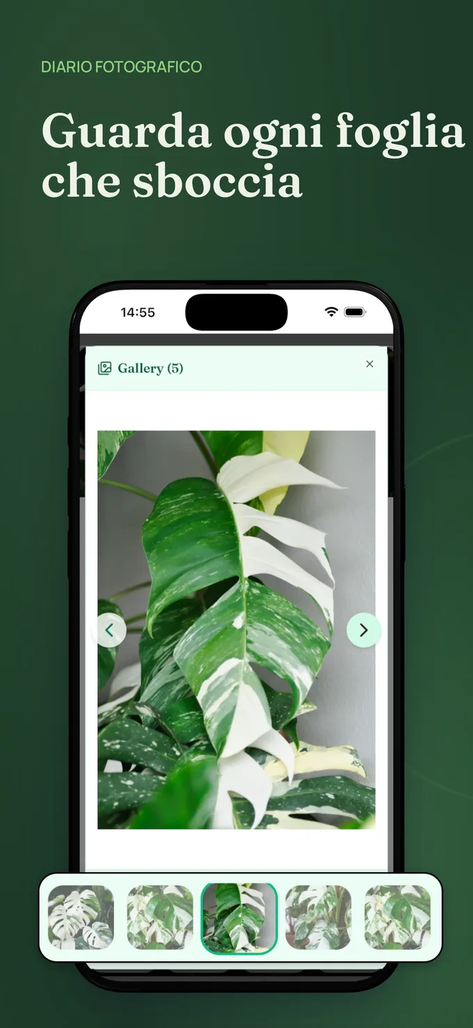 Screenshot dell'app Beflore 5