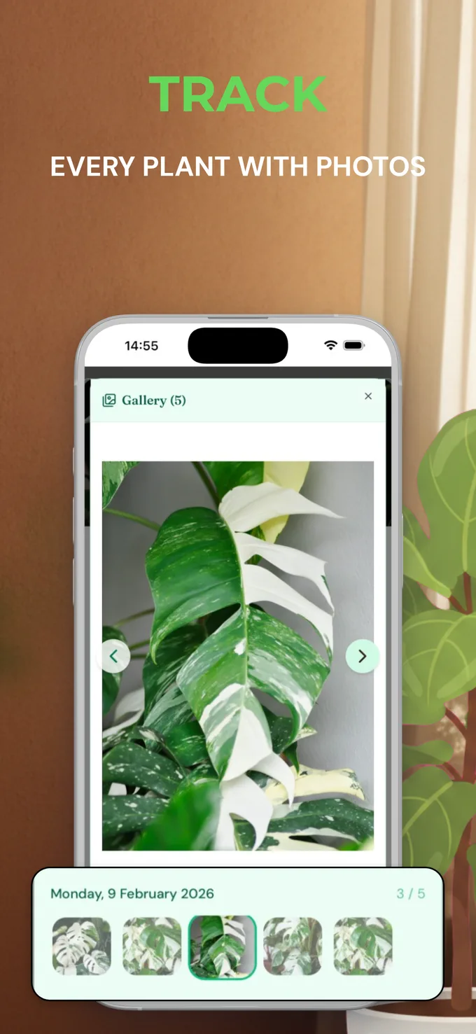 Beflore app screenshot 2