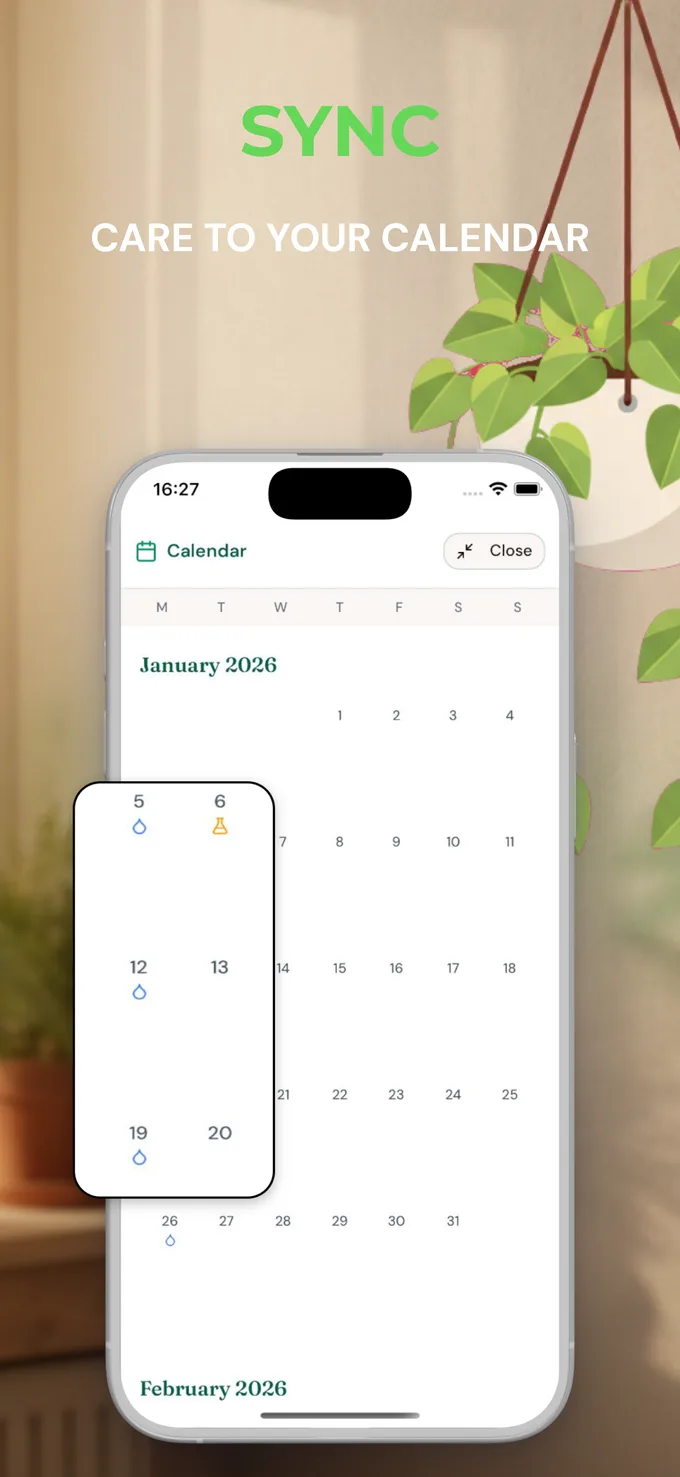 Beflore app screenshot 4
