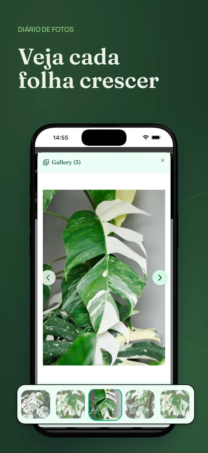 Captura de tela 5 do app Beflore